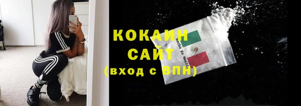 бошки Каменка
