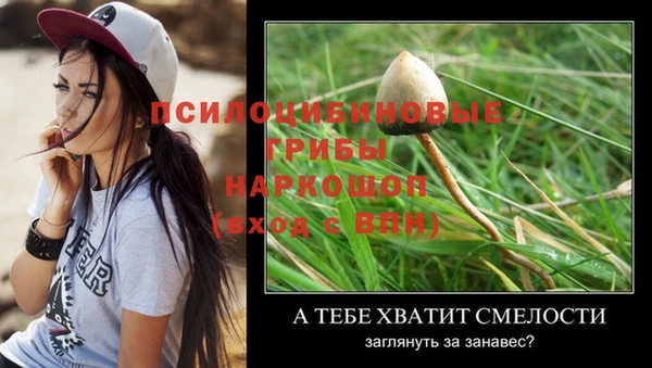 ГАЛЛЮЦИНОГЕННЫЕ ГРИБЫ Каменногорск