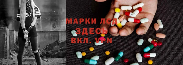 ГАЛЛЮЦИНОГЕННЫЕ ГРИБЫ Каменногорск