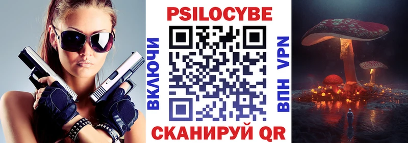 Купить где Сосновый Бор Псилоцибиновые грибы Cubensis